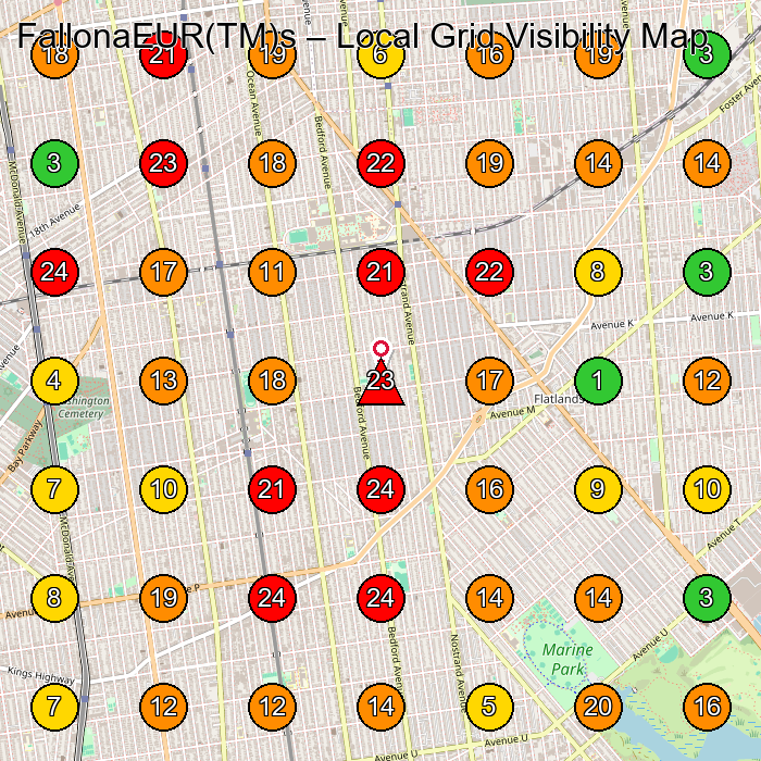 FallonaEUR(TM)s Clothing Store GeoGrid ranking map for Brooklyn NY